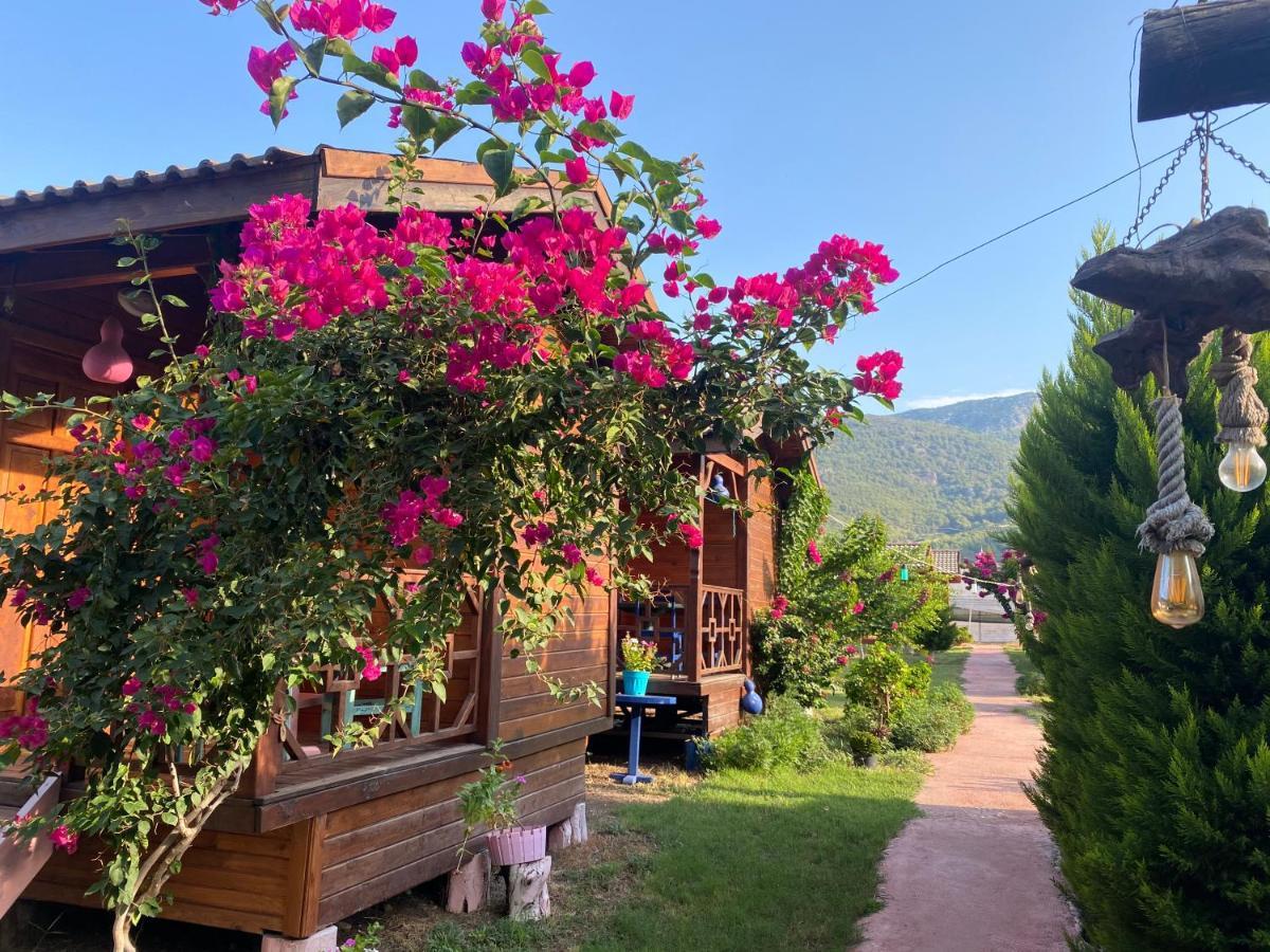 Karaoez Ada Bungalows & Villa Exterior photo