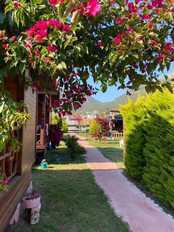Karaoez Ada Bungalows & Villa Exterior photo
