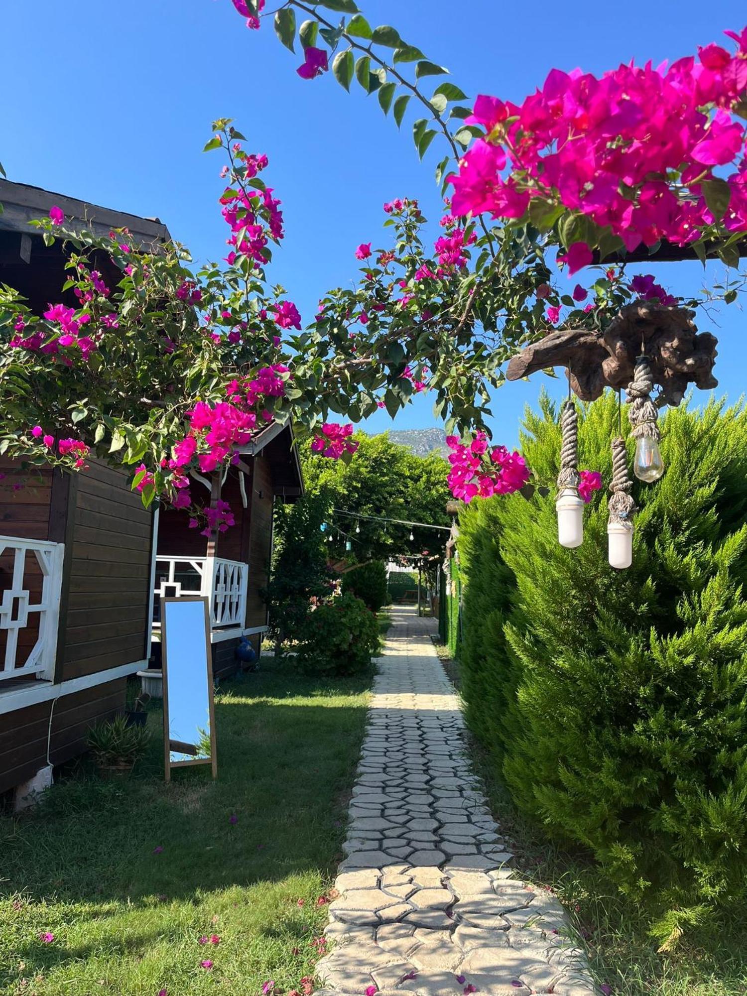 Karaoez Ada Bungalows & Villa Exterior photo